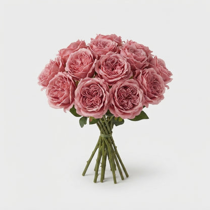 FeedSync:wholesale:8285bee10f911491f9177671335e9639648b7927