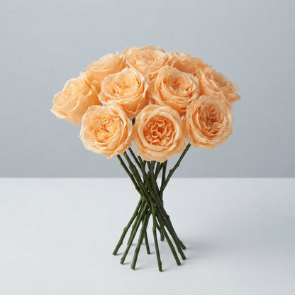 FeedSync:wholesale:3b0f747101130dcc43f6b6353f9154c82e3026a2