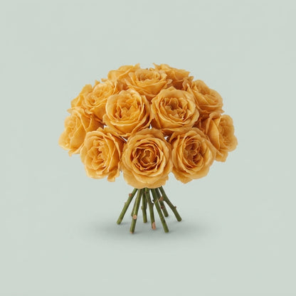 Rose - Rosa - Large Flowered
