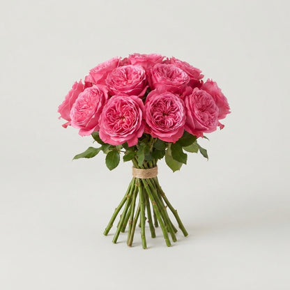 FeedSync:wholesale:0fc5285bbfaba80729758e44503cb2c1e72aba4f