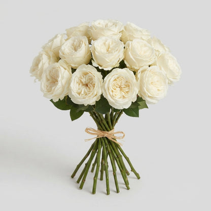 FeedSync:wholesale:20dfdd9629f31309fffabb3a3ecba28b96af6ba6