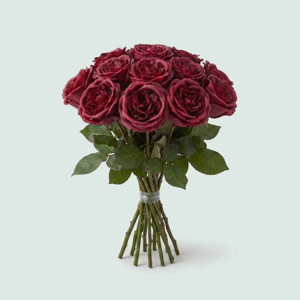 Rose - Rosa - Large Flowered