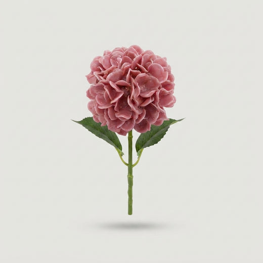 Silk Hydrangea - Hydrangea