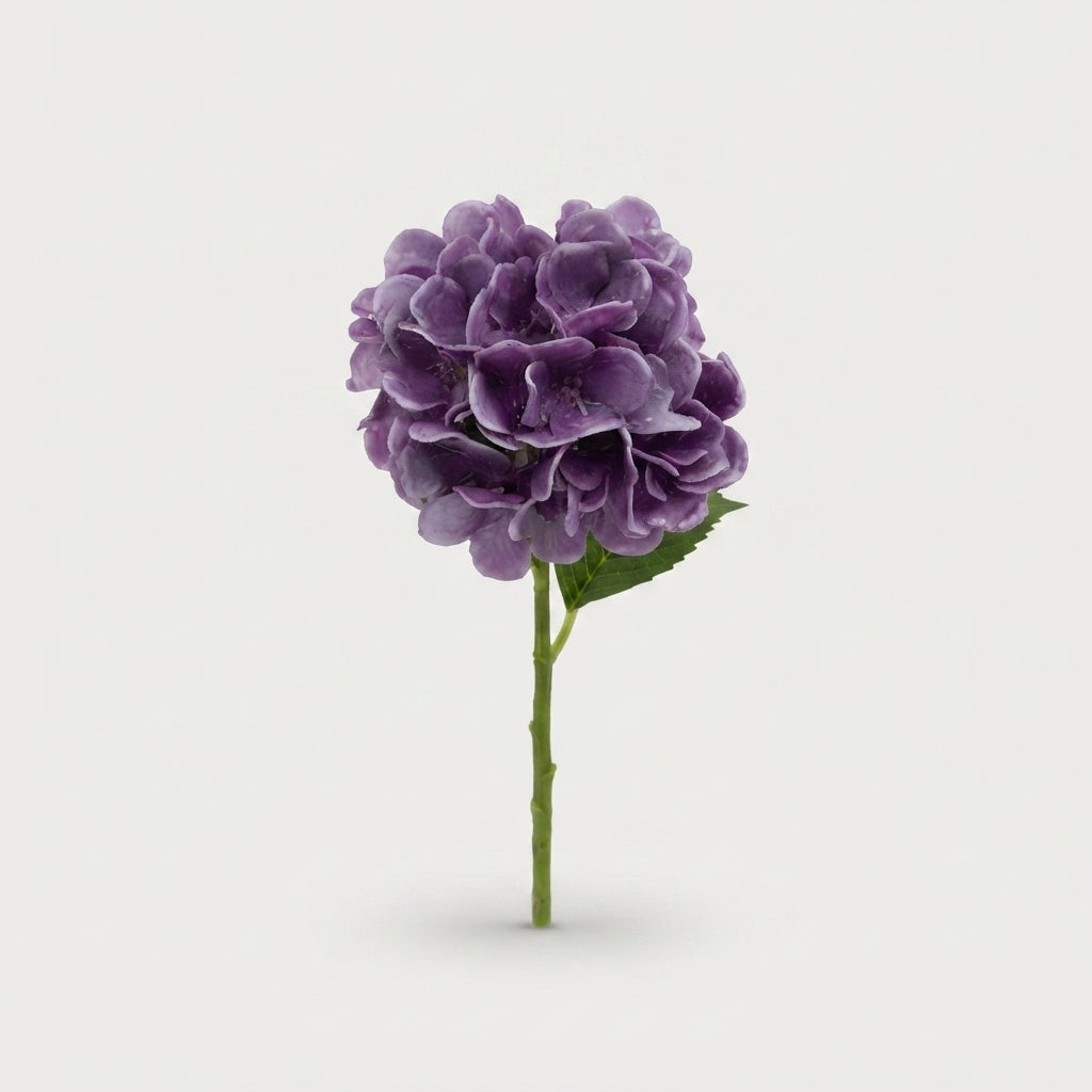FeedSync:wholesale:34060598e7dee0f968ae20ea304243d3b6d10b26