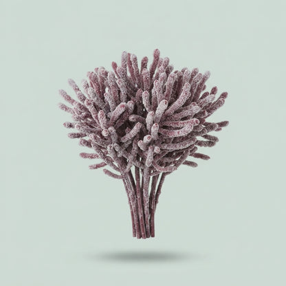 Cucumis - Other a piece
