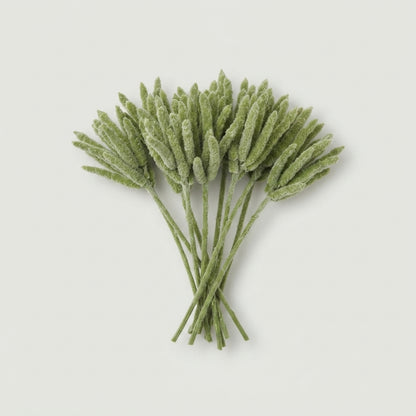 Cucumis - Other a piece
