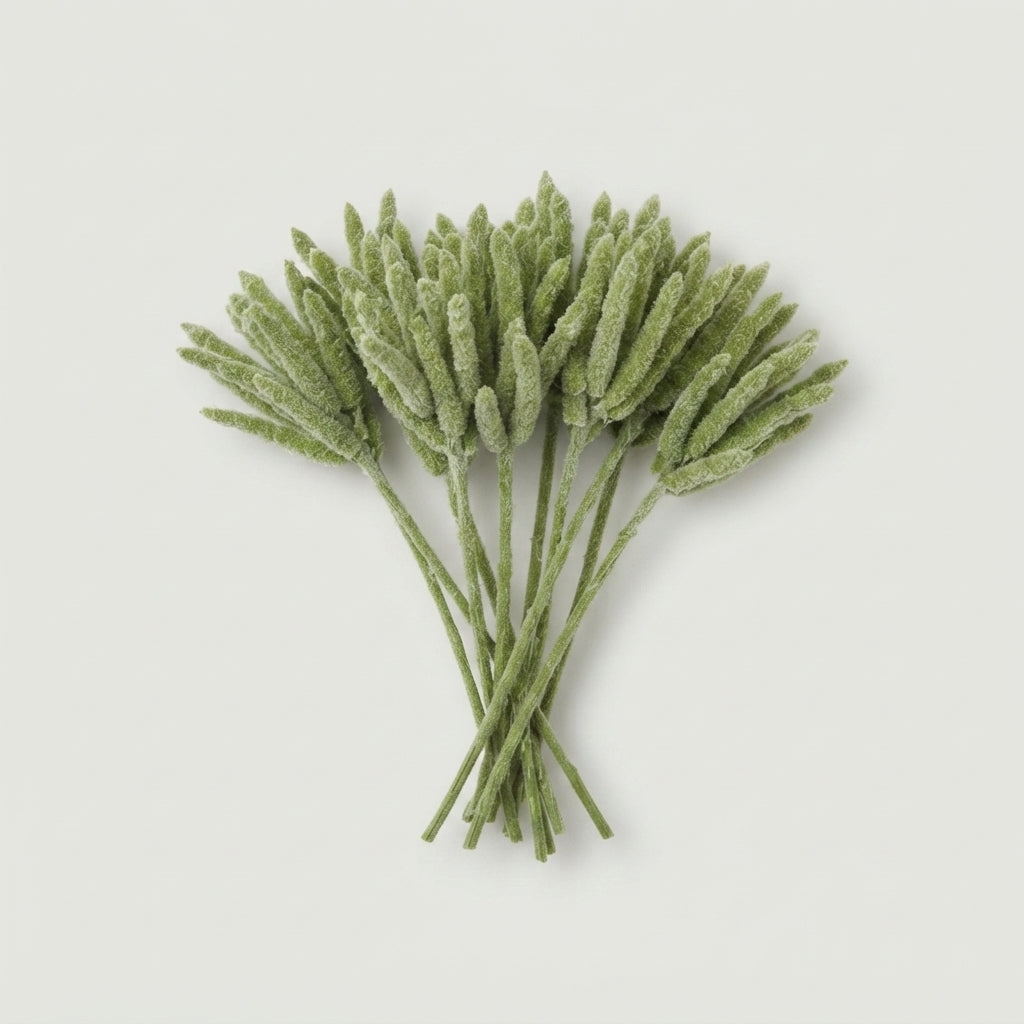 FeedSync:wholesale:f0b71a897b3e33158584fdf162d3708553a141bb