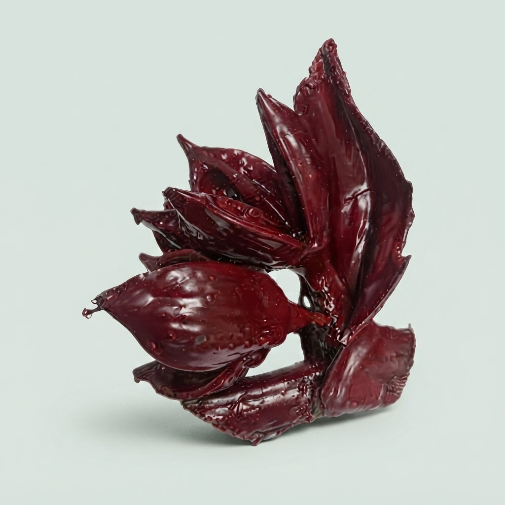 Waxed Seafruit Bordeaux