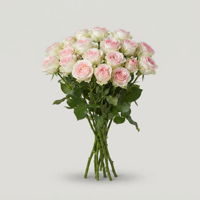 Spray Rose - Rosa - Happy Wedding