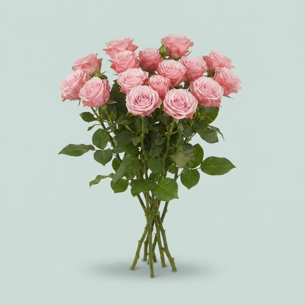 Spray Rose - Rosa - Birds Nest+