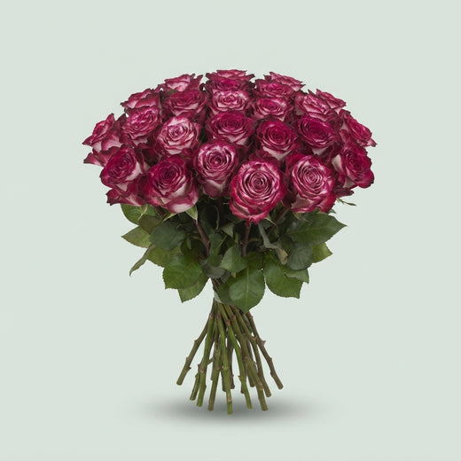 Rose - Rosa - Ripasso