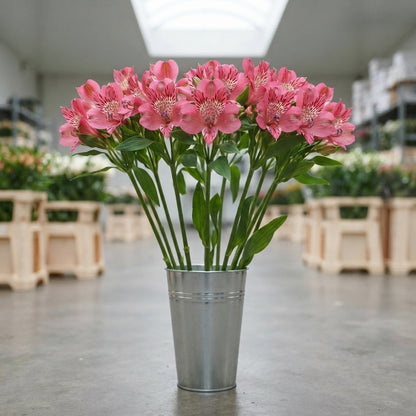 FeedSync:wholesale:55e7af56a7e0651f19b90423c351ee85d5e892ad