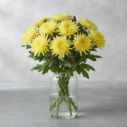 FeedSync:wholesale:448b233c4ebab37433c2d88b48288eded986ab7c