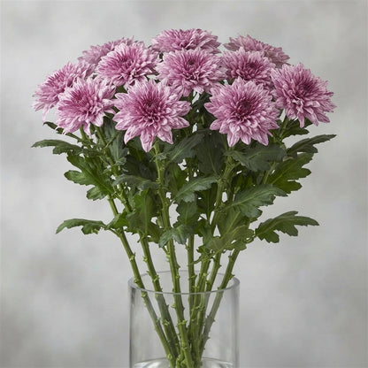 FeedSync:wholesale:0a89ff50cbacd39566f00ae0fa31c1004061cf24