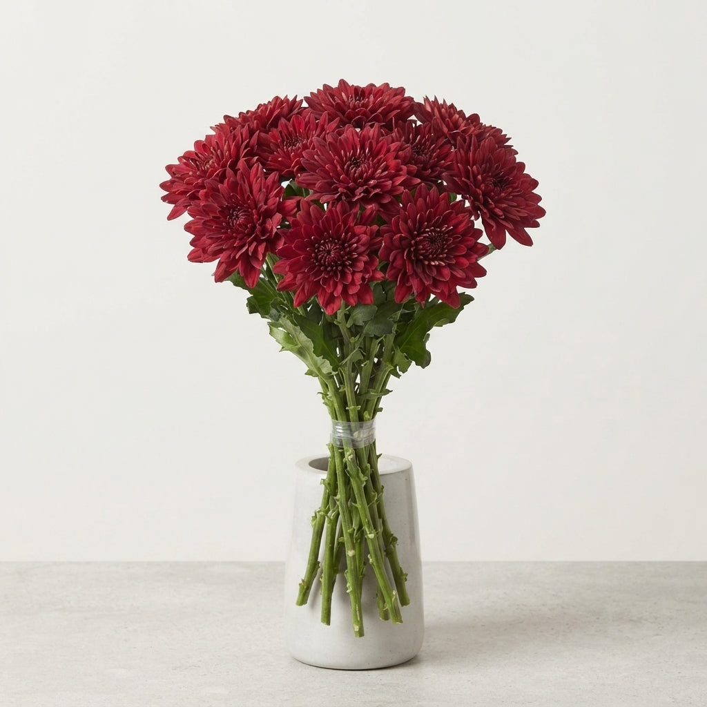 FeedSync:wholesale:a5942847d6ccb280fa5267c90459452087ffd7d3