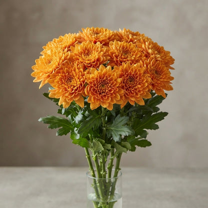 FeedSync:wholesale:3b8269cae5f82708de5d77b28da7be5232479721