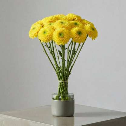 FeedSync:wholesale:65e8c1a7fc71c068c706db758e9ad3b07ad146e1