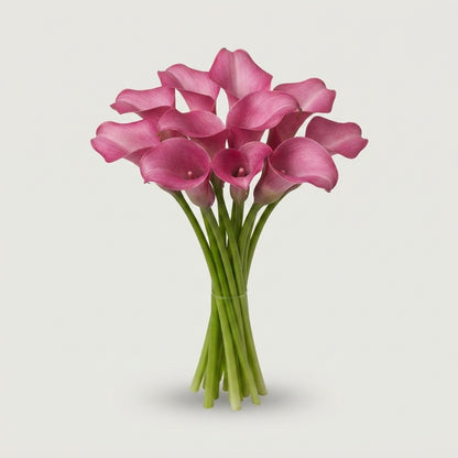 Calla Lily - Zantedeschia - Zazu