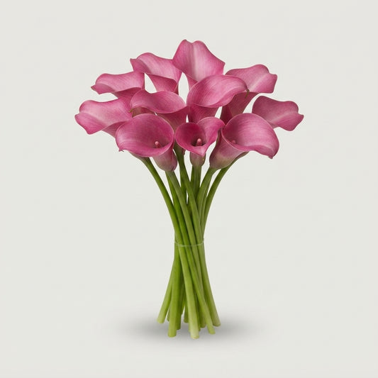 Calla Lily - Zantedeschia - Zazu