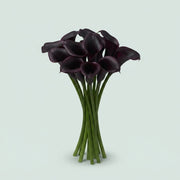 FeedSync:wholesale:f1369e0bee655d1568f74143c72508af271a6174