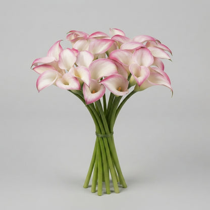 Calla Lily - Zantedeschia - Call Mario