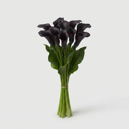 Calla Lily - Zantedeschia - Odessa
