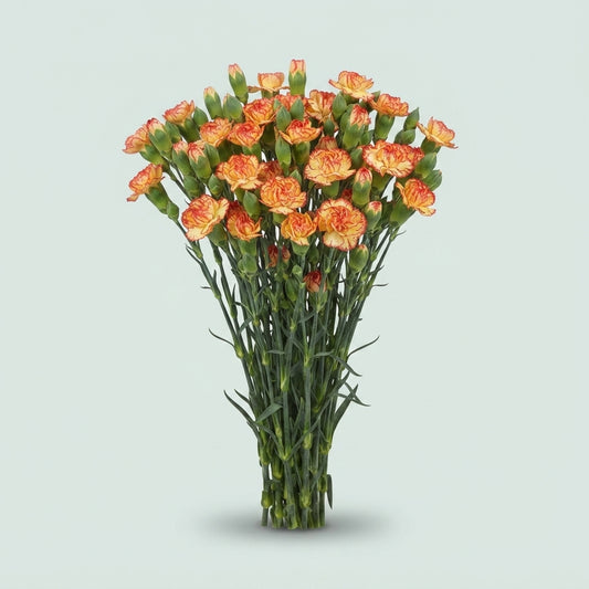 Carnation Spray Carimbo