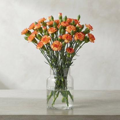 FeedSync:wholesale:62dcb5d30dbae16f9312d98b380c5230f89cc931