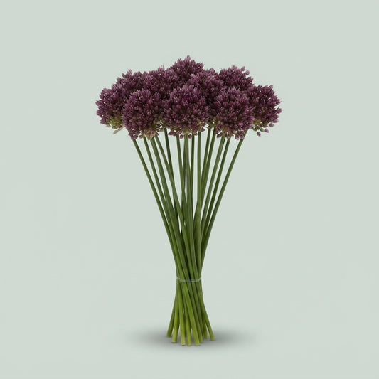 Allium - Purple Mystery