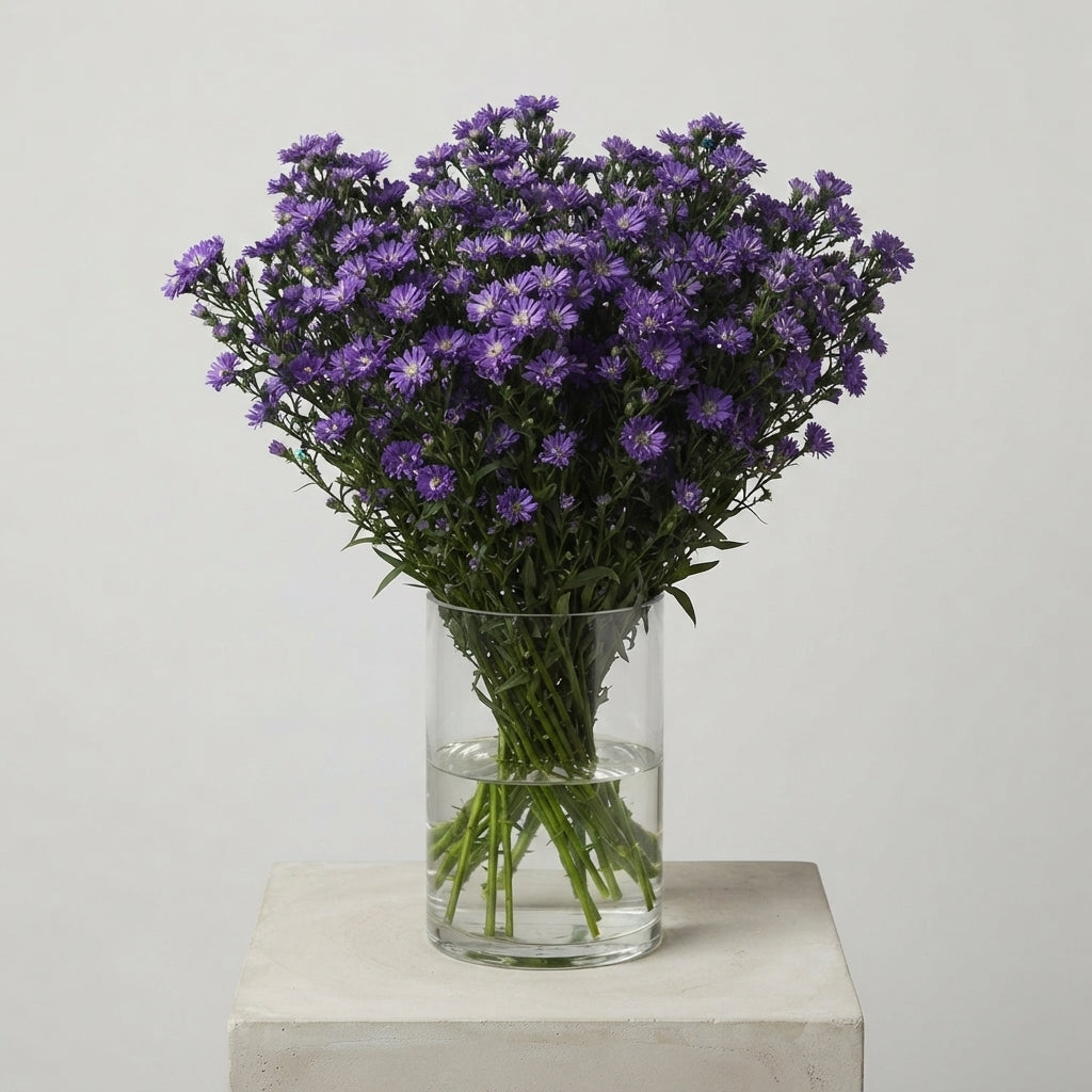 FeedSync:wholesale:2ad6b5c12267c55547d61751db6b51263d12a2aa