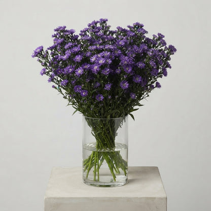 FeedSync:wholesale:2ad6b5c12267c55547d61751db6b51263d12a2aa