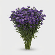 FeedSync:wholesale:da74a1f0a45b4e6bb39c2b10ff2f34a21defe2ac