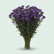 FeedSync:wholesale:0e8103c05cf1b6e0acfcf79463310e464f95b7ed