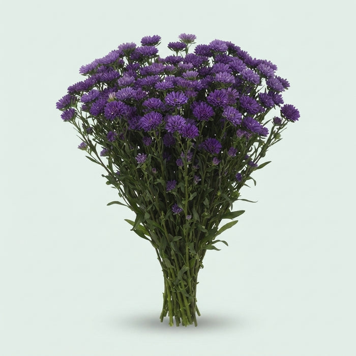 FeedSync:wholesale:0e8103c05cf1b6e0acfcf79463310e464f95b7ed