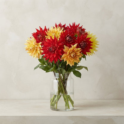 FeedSync:wholesale:e5126978387d3a25e08d8de87f28178fd3b0f310