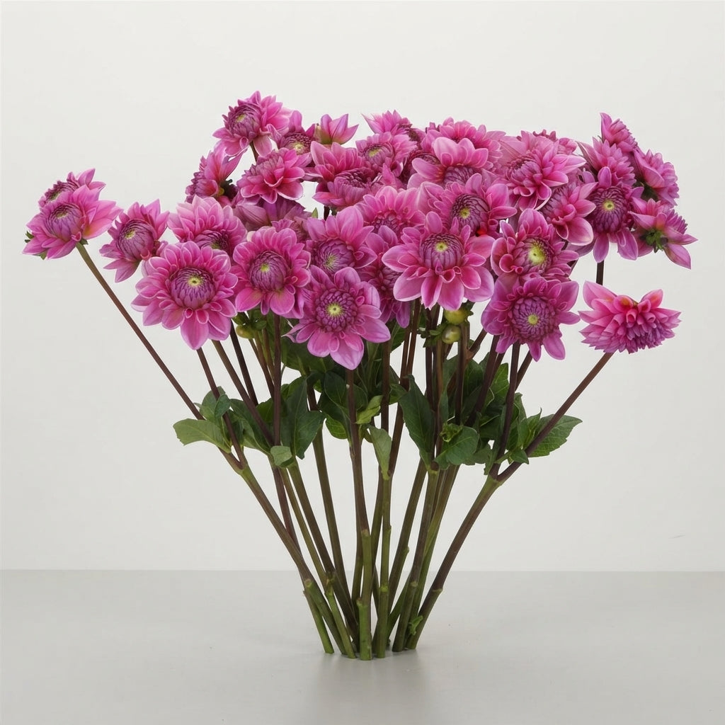 FeedSync:wholesale:72ecb09120dd5b6717199ef2f7ee031a39b6d0bc