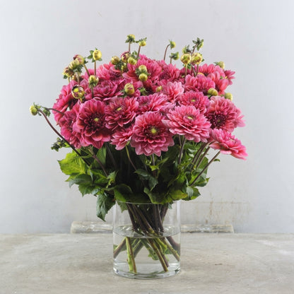 FeedSync:wholesale:d28cd6838986bd9bae18760b005ac8b2c818accd