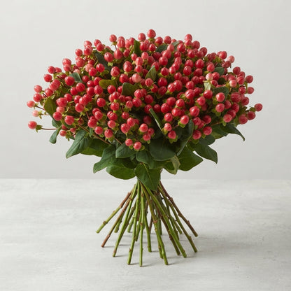 FeedSync:wholesale:8ff2ef8b7a6cfc39d8140da11c9f17f5b9cd52cb