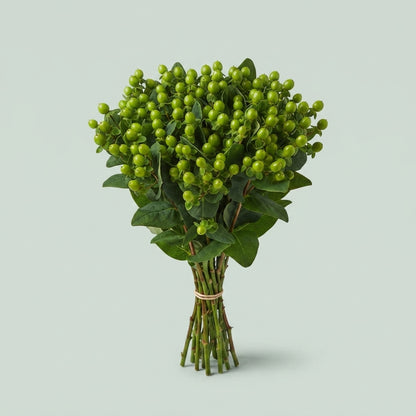 Hypericum - Hypericum androsaemum - Lucky Romance
