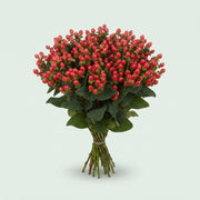 FeedSync:wholesale:1cc3265883d1179313c2b98a233e0a4c6a58f18a