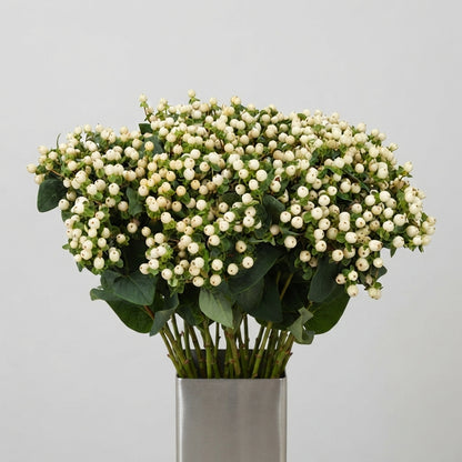 FeedSync:wholesale:39d1fafed7da45559b6915193b5c4c0c78a2e2e3