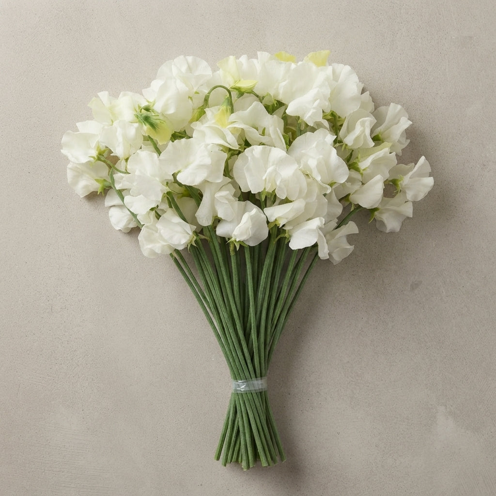 FeedSync:wholesale:b28c369a08da5bae4c7218dfd44ad6576f3ecadf