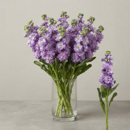 FeedSync:wholesale:67716c031e4e4e08eea95805aa72f08dbce83e38