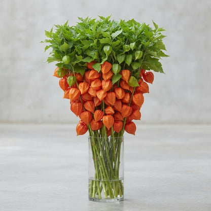 FeedSync:wholesale:05ccdeba0a536bc7d1047b9ad9b58ef169cb0998