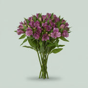 FeedSync:wholesale:83423929c25b6160df5a33a01bd3387e6f68887c