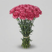 FeedSync:wholesale:9724f15dcc889e0e39ca24a0f012e5f4ccc903ca