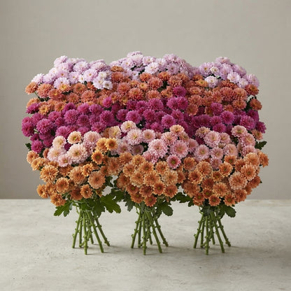 FeedSync:wholesale:88f29768802c656c1e22225504f80250f5dcd400