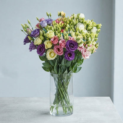 FeedSync:wholesale:027b5efa9d7b34280c8181407267c400954688a1
