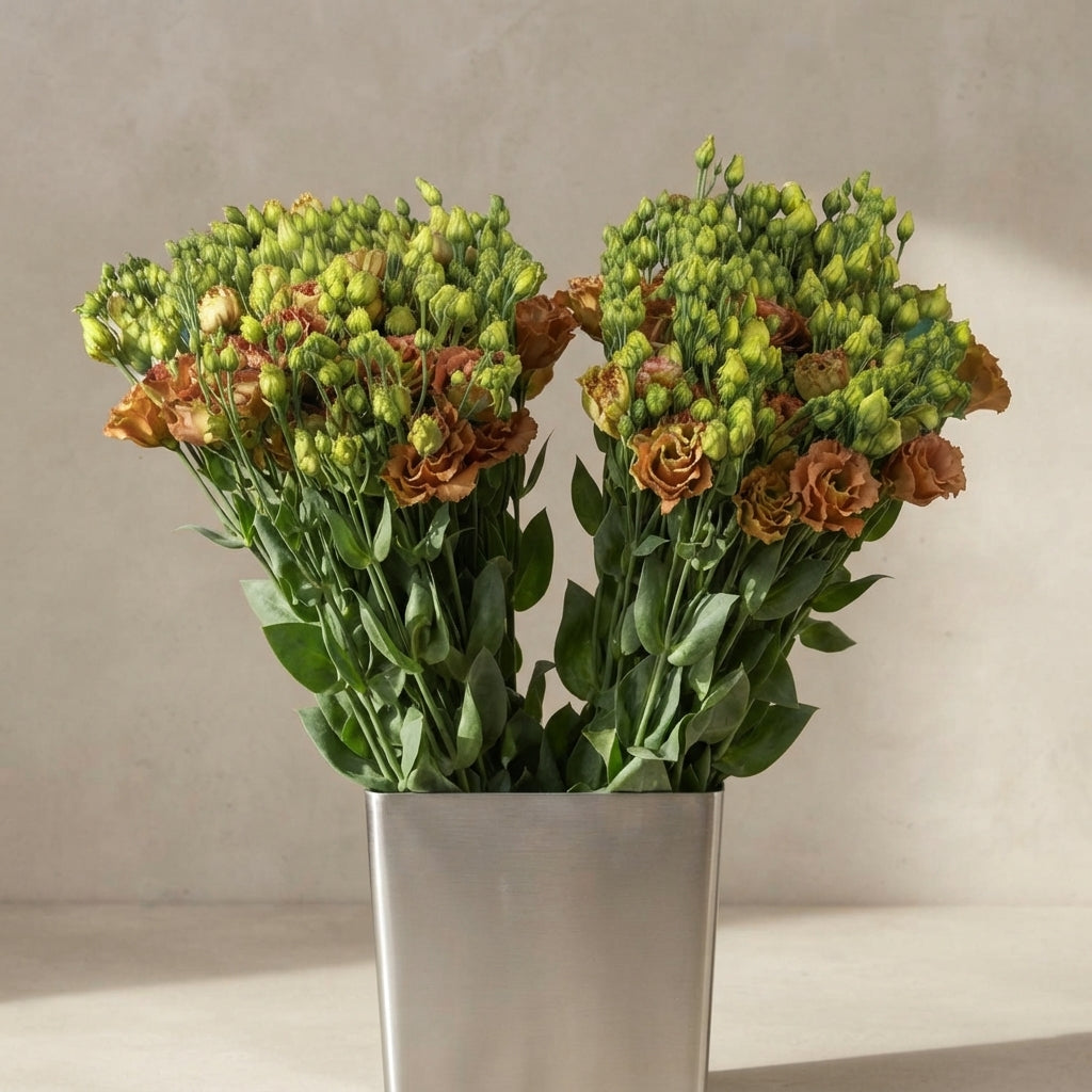 FeedSync:wholesale:c682576e27d23a0309981596fdf7091ad0115e73