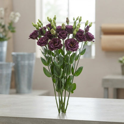 FeedSync:wholesale:3d6c357ad68530b29503fc54c059726004bf967b